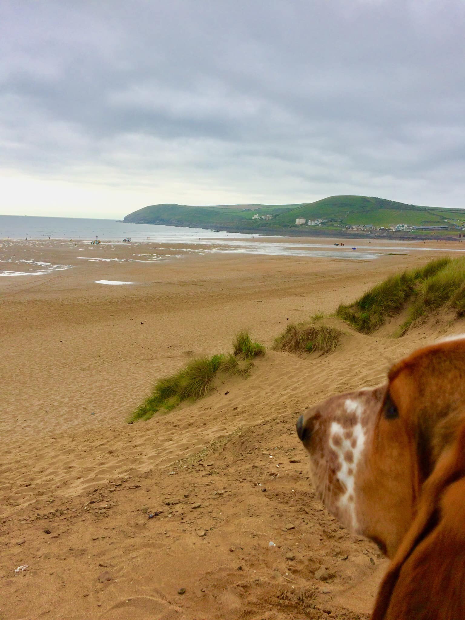 Mabel staring out to sea